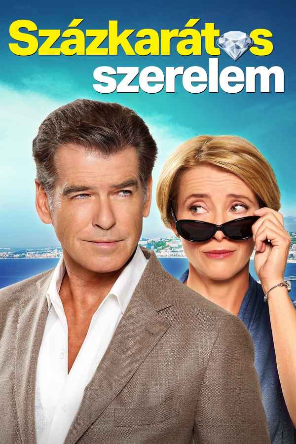 The Love Punch Poster 5