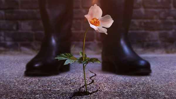 The Man In the High Castle Poster 4