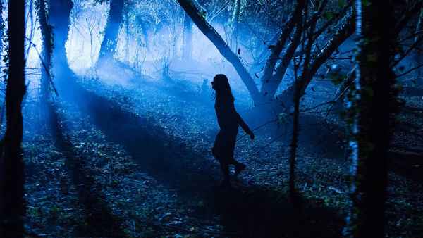 The Mansion Poster 5