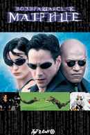 The Matrix Revisited Poster 6