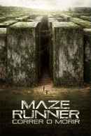 The Maze Runner Poster 7