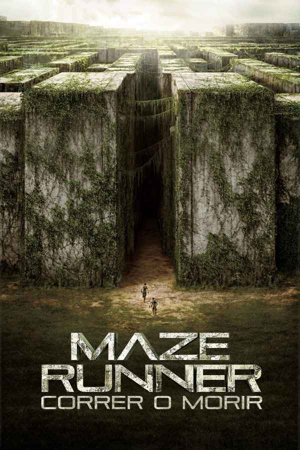 The Maze Runner Poster 7