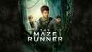 The Maze Runner Poster 5