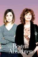 The Meddler Poster 7