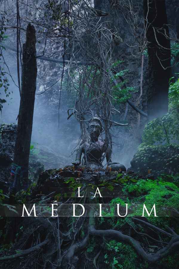 The Medium Poster 5