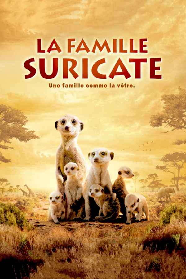 The Meerkats Poster 2