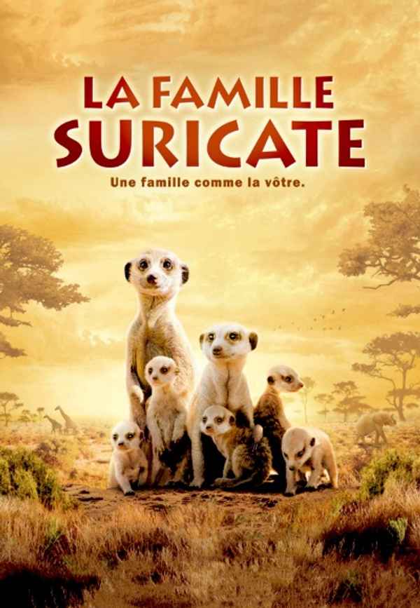The Meerkats Poster 3