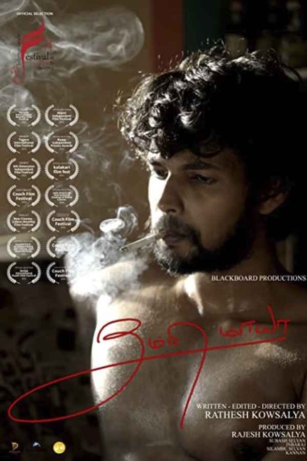 The Mirage of Dragonfly Poster 2