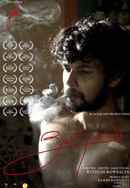 The Mirage of Dragonfly Poster 3