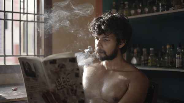 The Mirage of Dragonfly Poster 1