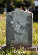 The Moirologist Poster 4