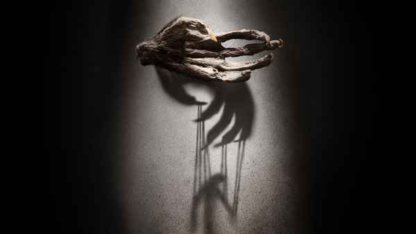 The Monkey's Paw Poster 1