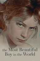 The Most Beautiful Boy in the World Poster 2