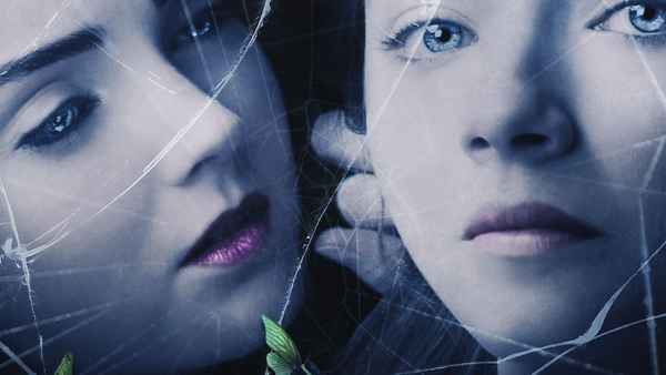 The Moth Diaries Poster 3