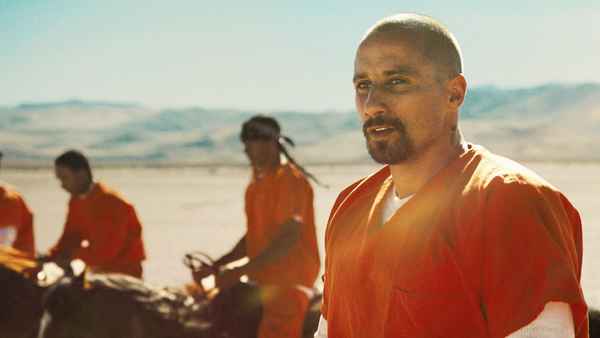 The Mustang Poster 6