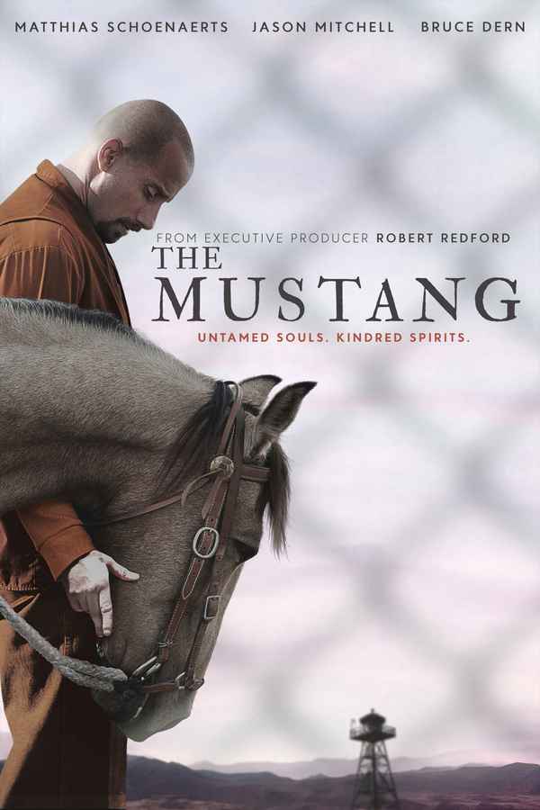 The Mustang Poster 7