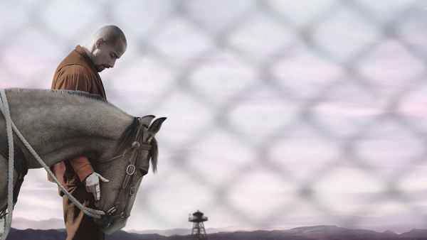 The Mustang Poster 3