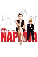 The Nanny Diaries Poster 4