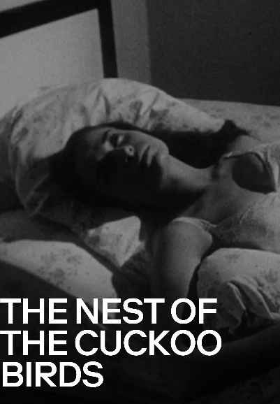 The Nest of the Cuckoo Birds