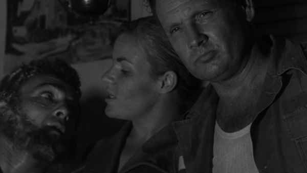 The Nest of the Cuckoo Birds Poster 4