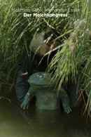 The Newt Congress Poster 2