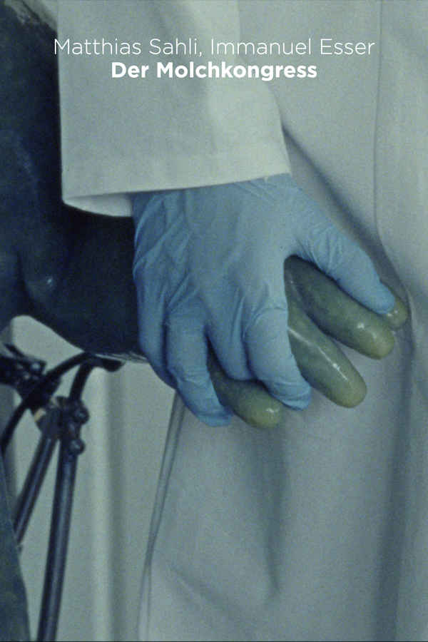 The Newt Congress Poster 3