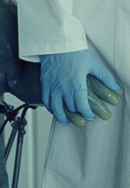 The Newt Congress Poster 6