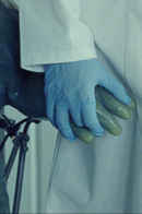 The Newt Congress Poster 5