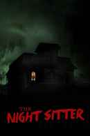 The Night Sitter Poster 6