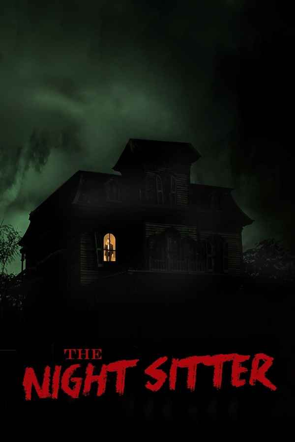 The Night Sitter Poster 6