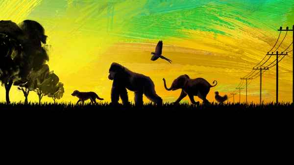 The One and Only Ivan Poster 3