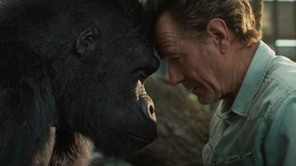 The One and Only Ivan Poster 6