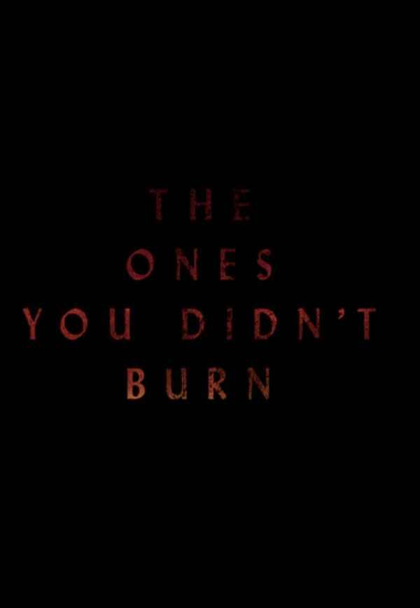 The Ones You Didn’t Burn Poster 4