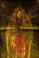 The Ones You Didn’t Burn Poster 1