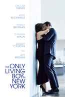 The Only Living Boy in New York Poster 3