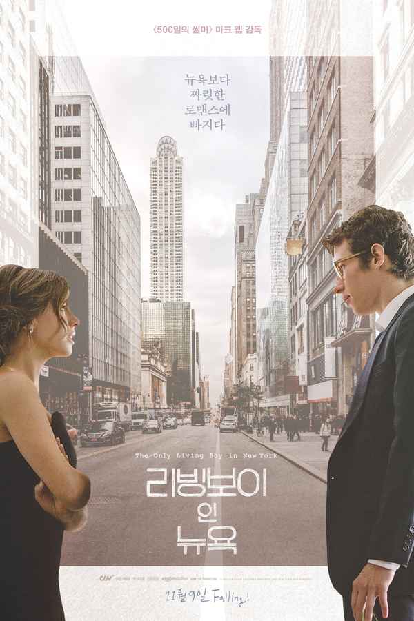 The Only Living Boy in New York Poster 7