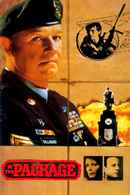 The Package Poster 6