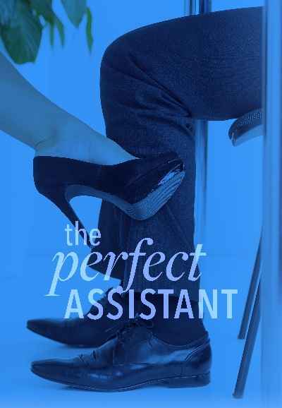 The Perfect Assistant