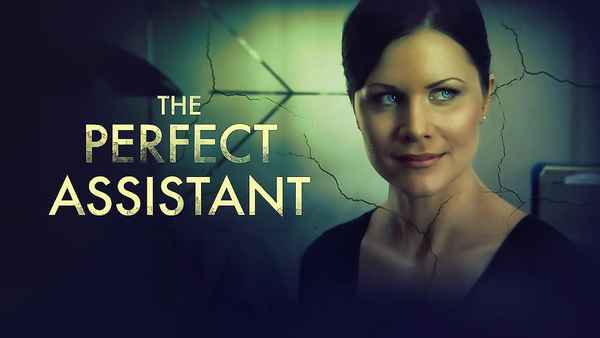 The Perfect Assistant Poster 2