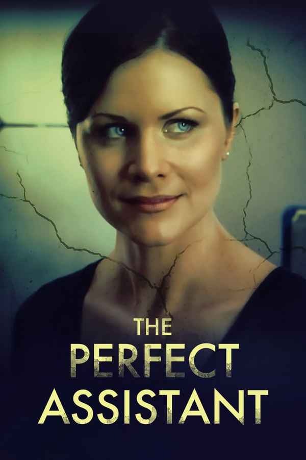 The Perfect Assistant Poster 3