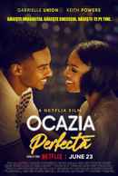 The Perfect Find Poster 5