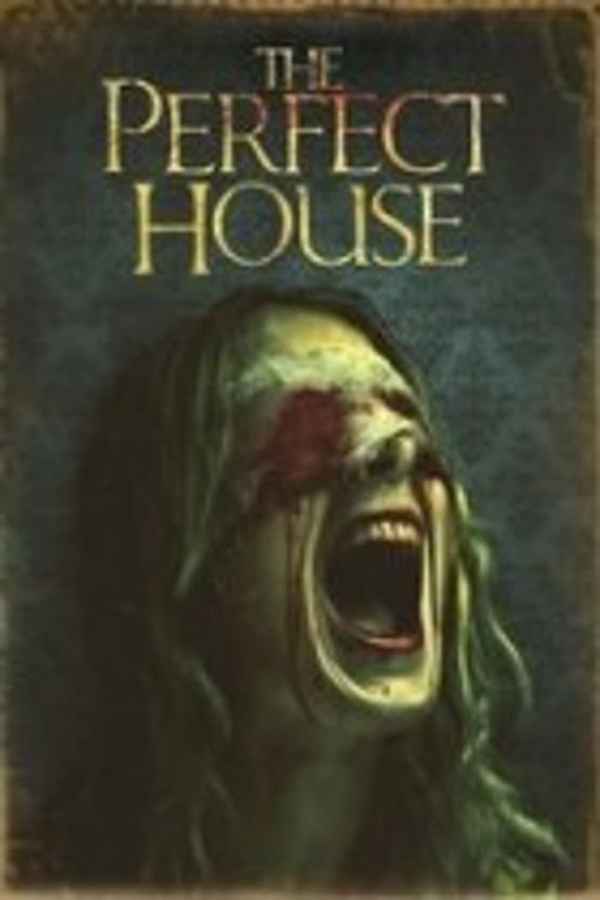 The Perfect House Poster 6