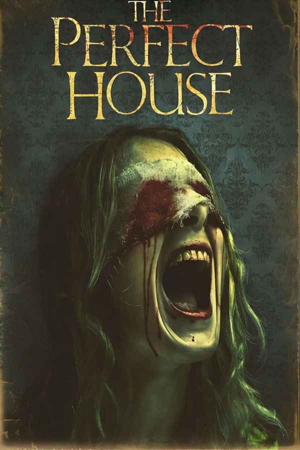 The Perfect House Poster 3