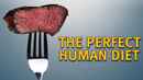 The Perfect Human Diet Poster 2