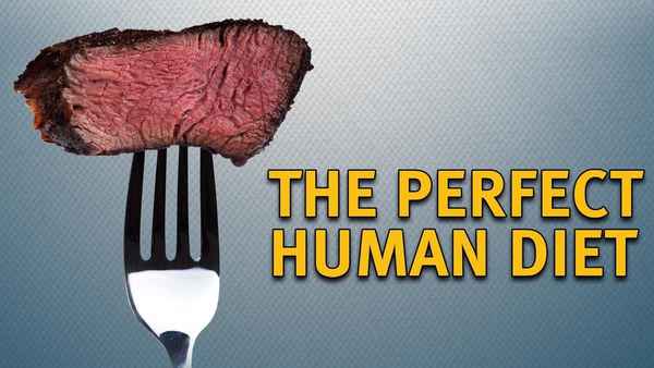 The Perfect Human Diet Poster 2