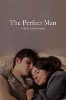 The Perfect Man Poster 4