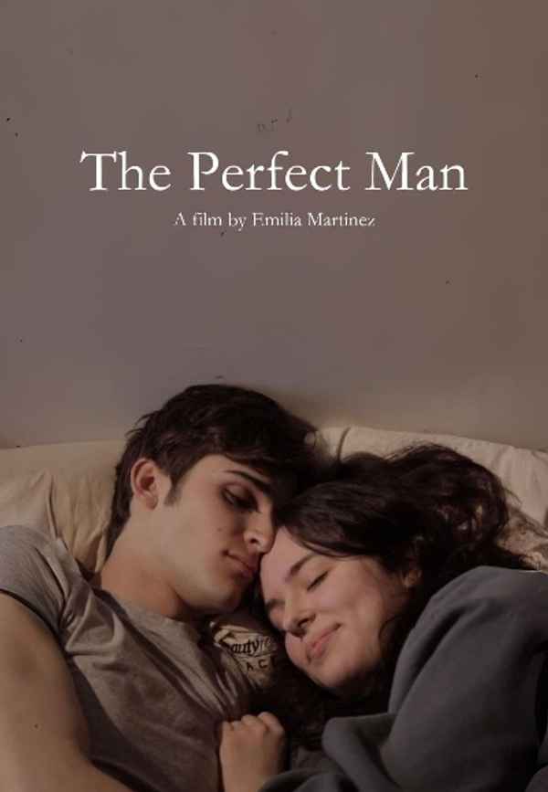 The Perfect Man Poster 6