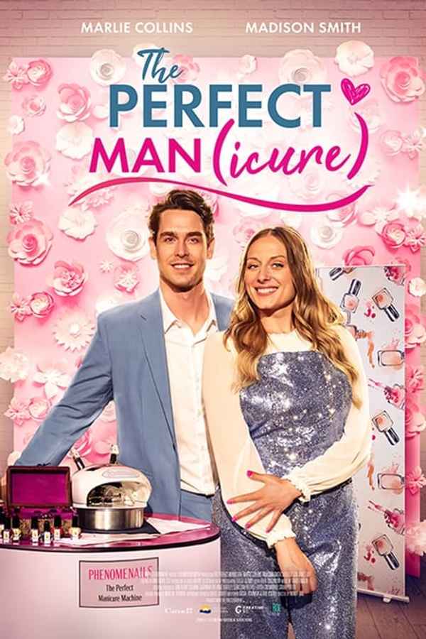 The Perfect Man Poster 5