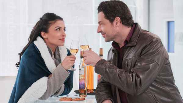 The Perfect Pairing Poster 6