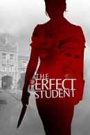 The Perfect Student Poster 3